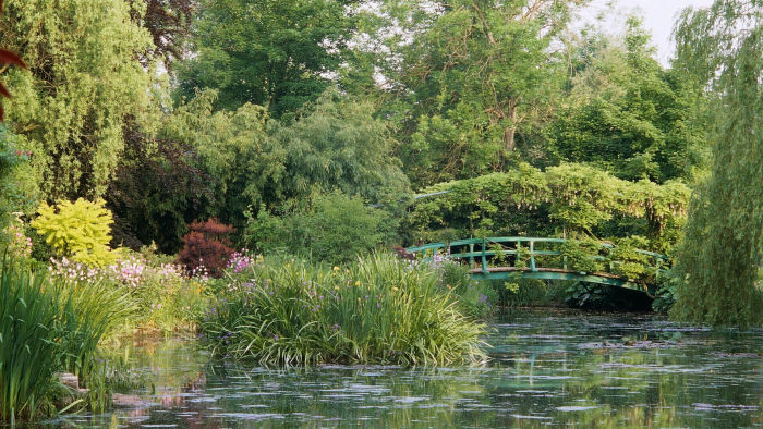 widget foundation art