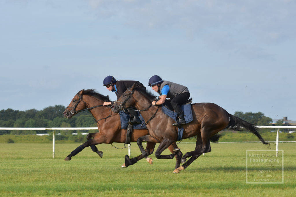 wilth racing gallops